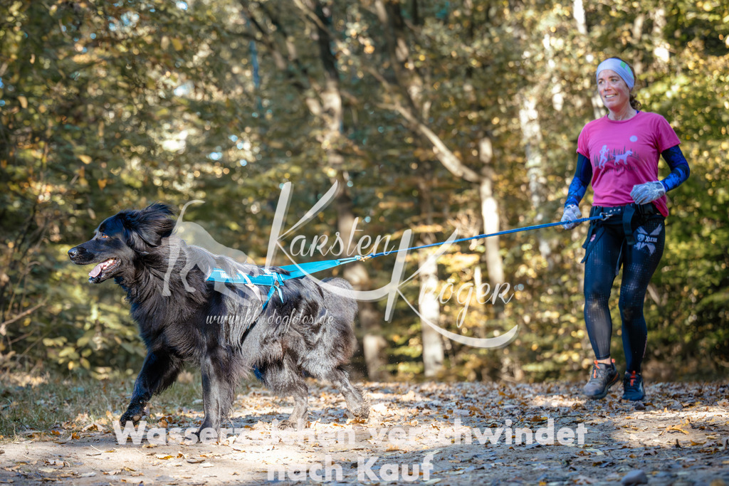 1042_ZZ90739 | kk-dogfotos
