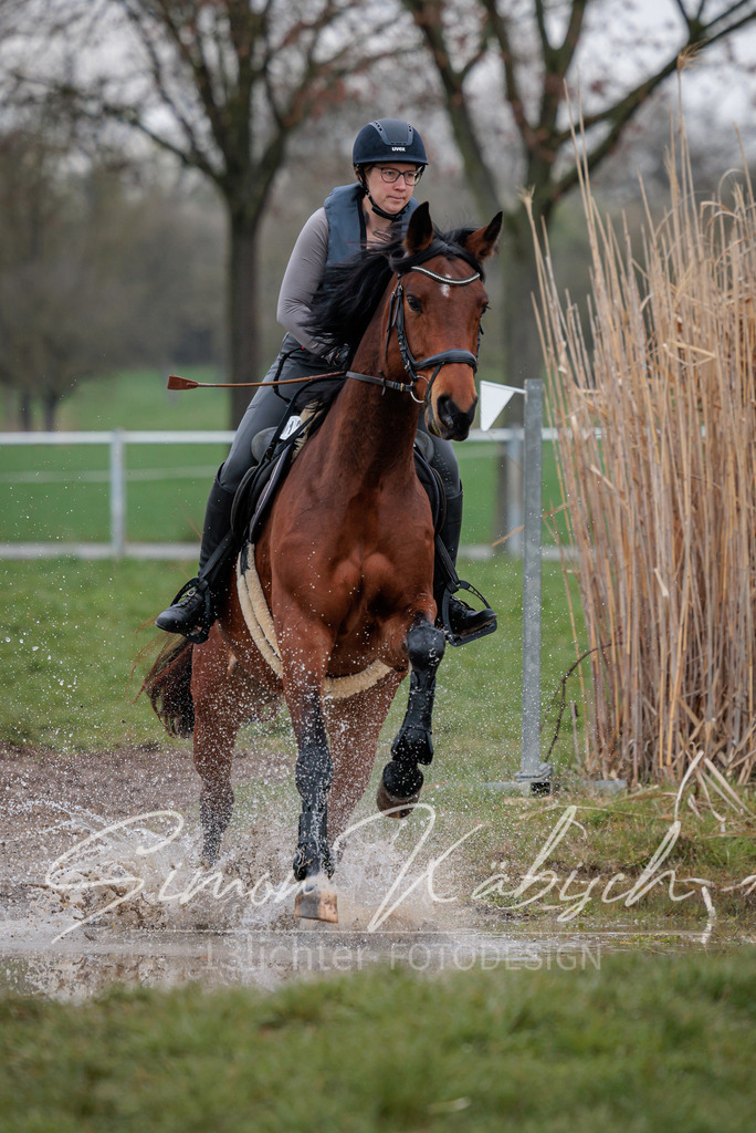 20260329-_3LI4000 | Tierfotografie Pferde, Hunde, Katzen, Haustiere.
Turnierfotografie Reitturniere, Reiten, Springreiten, Dressur in Hanau, dem Main-Kinzig-Kreis und dem Rhein-Main- Gebiet um Frankfurt
