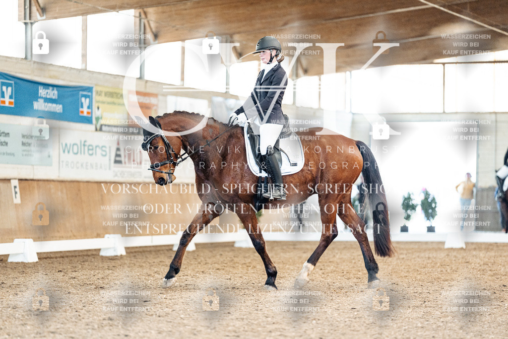 CK909311 | Turnierfotografie Pferdefotografie Trier Rheinland-Pfalz Pferdesport Reitsport Tierfotografie Sportfotografie Pferdevideo Pferdevideografie Equestrianvideography equestrianphotography  - Realisiert mit Pictrs.com