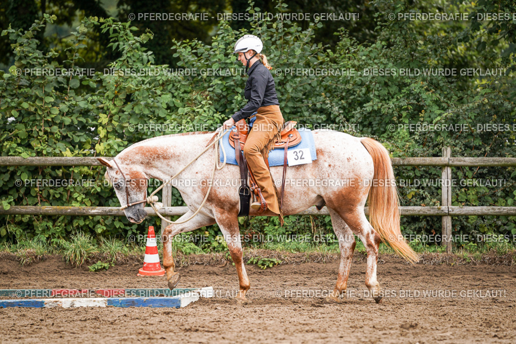 DSC04120 | Pferdegrafie