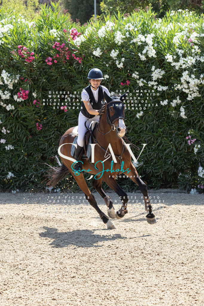 IMG_3661 | s-jay-photography - Realisiert mit Pictrs.com