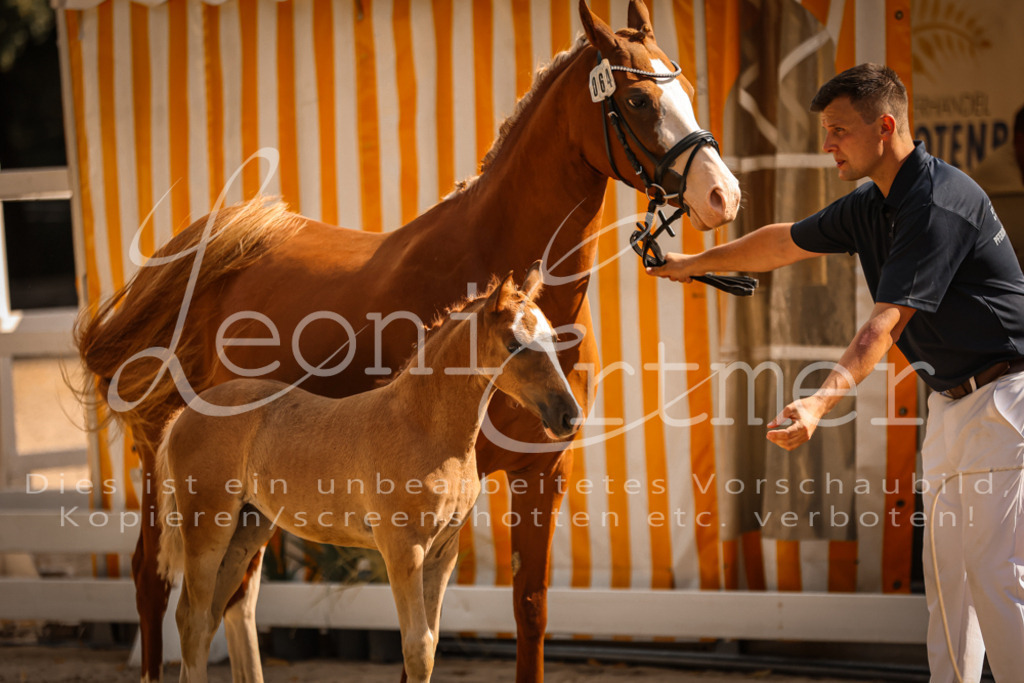 10.DoRP00163 | Leoni Ertmer Photography - Realisiert mit Pictrs.com