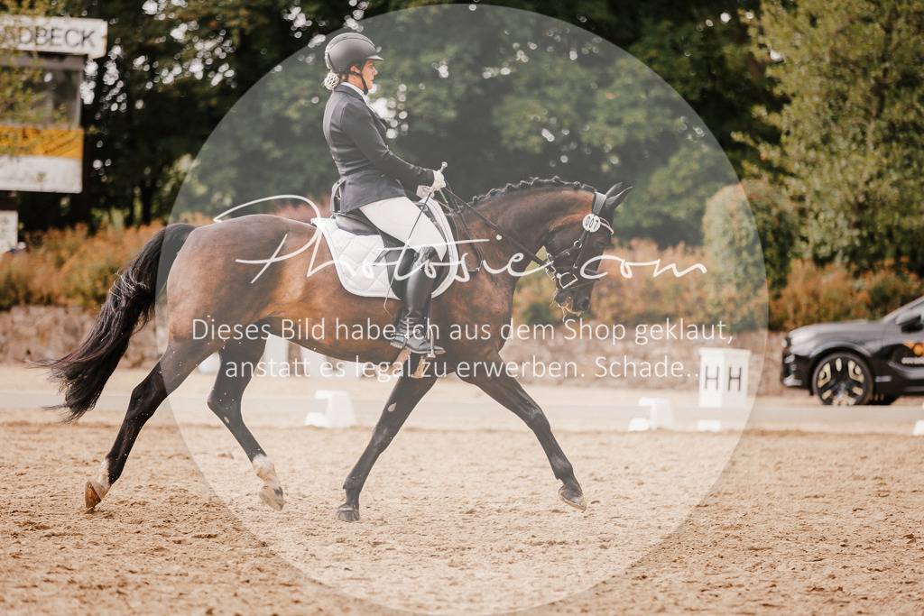 3I6A6347 | Stimmungsvolle Portraits und Reitsportfotografie im Ruhrgebiet und im Münsterland.

Pferdefotografie, Hundefotografie, Tierfotografie, Reportagen, Portraits von Tier und Mensch, Turnierfotografie in Bochum, Recklinghausen, Marl, Haltern am See, Dülmen.. - Realisiert mit Pictrs.com