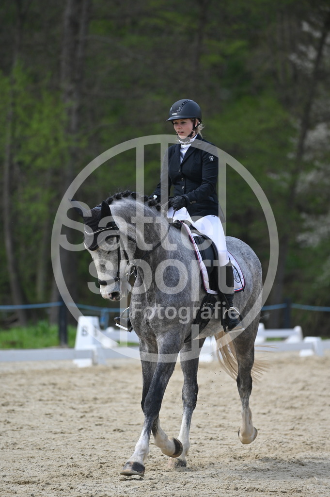 DSC_3517 | sattelsport - Realisiert mit Pictrs.com