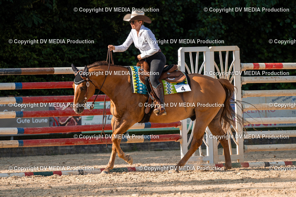 ZH100852 | dv-media-shop - Realisiert mit Pictrs.com