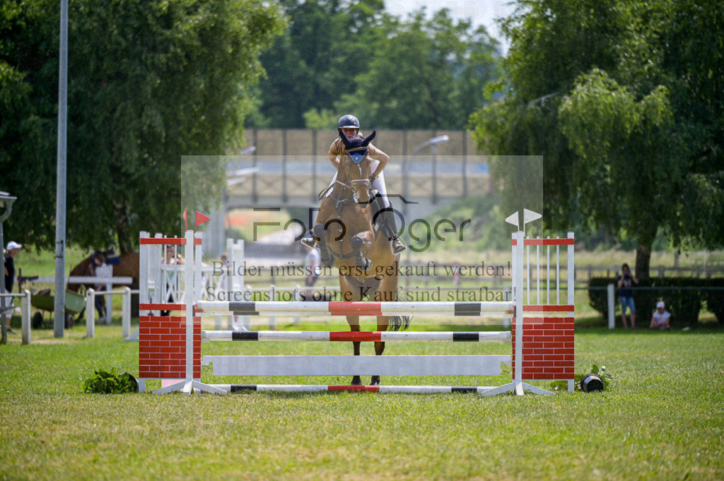 Reitturnier Voxtrup | Entdecke hochwertige Reitturnierfotos von Foto Oger. Professionell, emotional und authentisch – jetzt Lieblingsmomente im Shop bestellen. - Realisiert mit Pictrs.com