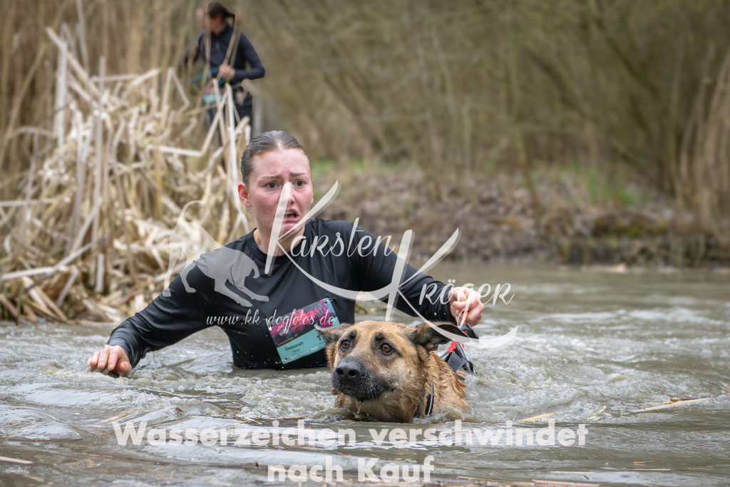 1409_ZZ96915 | kk-dogfotos