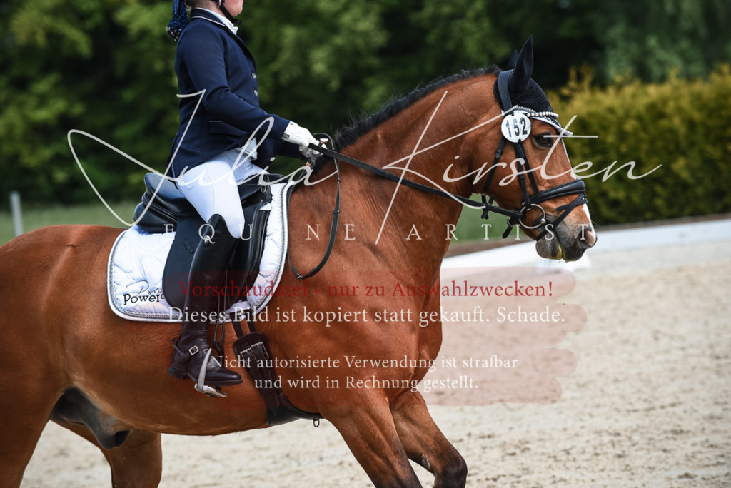 20230518_JK-Röhrsdorf-11-0648 | Pferde- und Turnierfotografie in Westsachsen. Pferdeportraits, Auftragszeichnungen und intuitive Kunst.