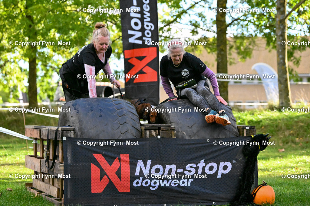 DSC_7043 | Hallo und herzlich Willkommen auf meiner Shop-Seite Fynn Most.

Ich wünsche Dir viel Spaß beim stöbern durch die Bilder, wenn Du Fragen hast oder Bilder vermisst, kannst du mir gerne eine Nachricht schreiben. - Realisiert mit Pictrs.com