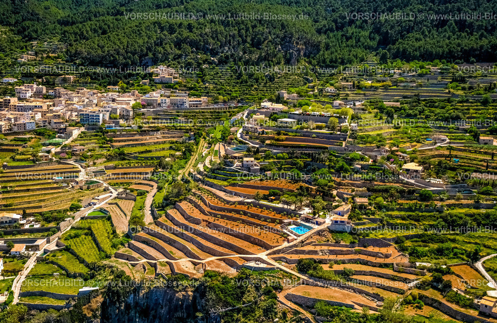 Mallorca230400019Banyalbufar | Luftbild, Terrassenförmige Landschaft, Wohnen und Leben, Banyalbufar, Balearen, Mallorca, Balearische Inseln, Spanien