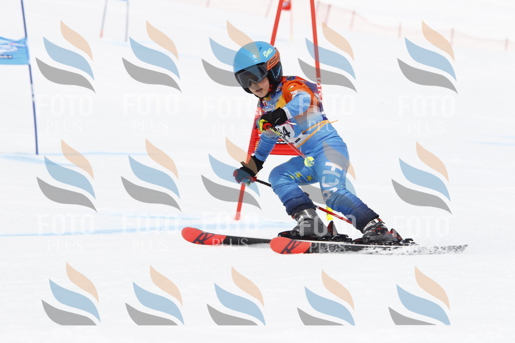 _U3G7120 | holidayphoto