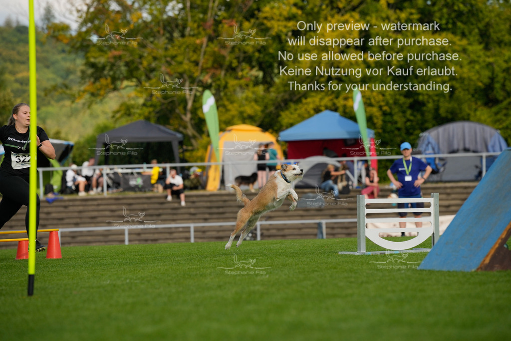 Samstag_CSC (1900 von 2023) | stephaniefillaphotographie - Realisiert mit Pictrs.com