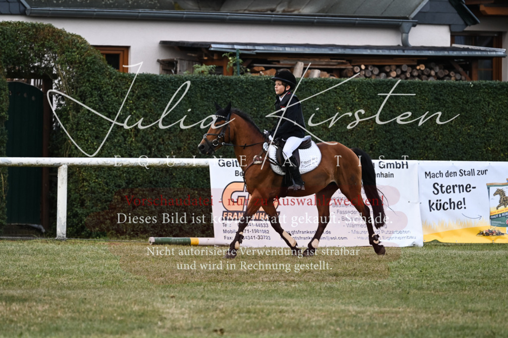 DSC_5541 | Pferde- und Turnierfotografie in Westsachsen. Pferdeportraits, Auftragszeichnungen und intuitive Kunst.