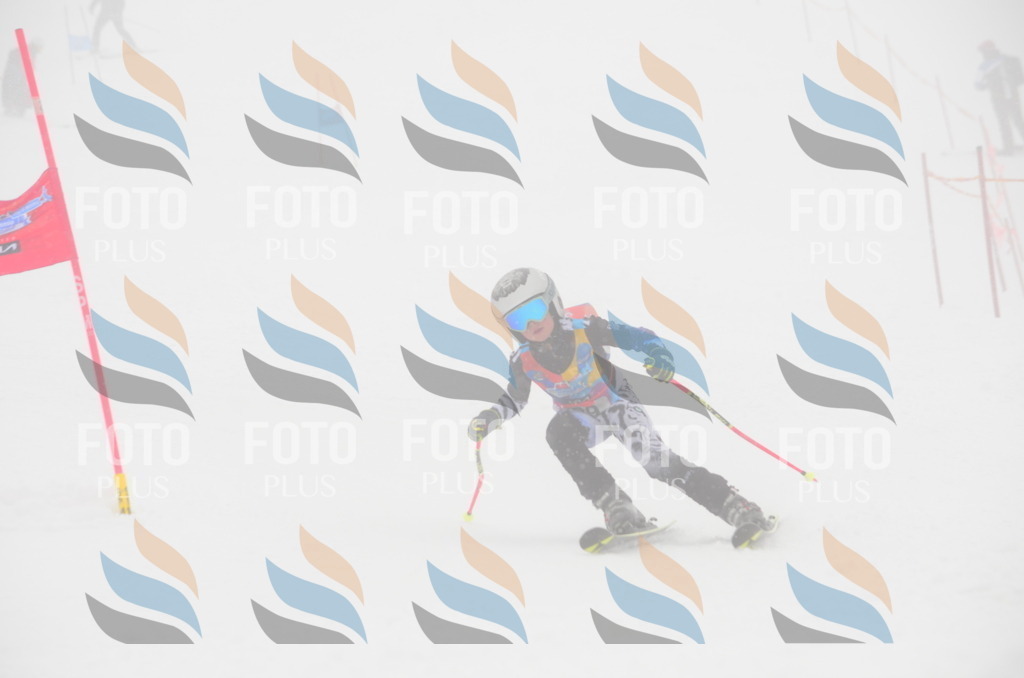 C0848 | holidayphoto