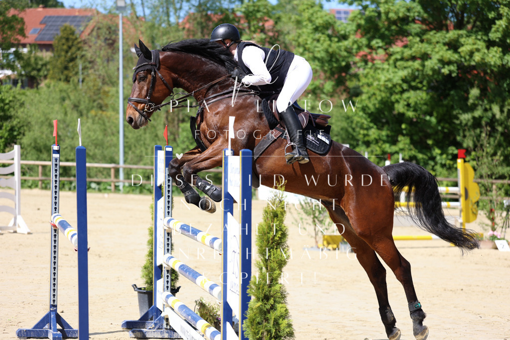 IMGS9809 | pl-fotografie