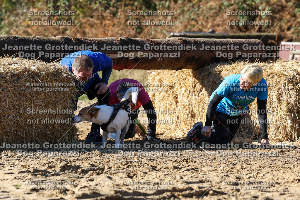 Dog Paparazzi - Strongdog 10-25-2661 | Dog Paparazzi Jeanette Grottendiek Fotografie & Videografie - Realisiert mit Pictrs.com