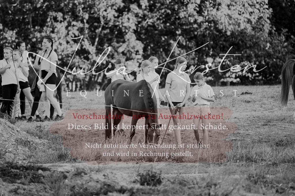 DSC_9310 | Pferde- und Turnierfotografie in Westsachsen. Pferdeportraits, Auftragszeichnungen und intuitive Kunst.