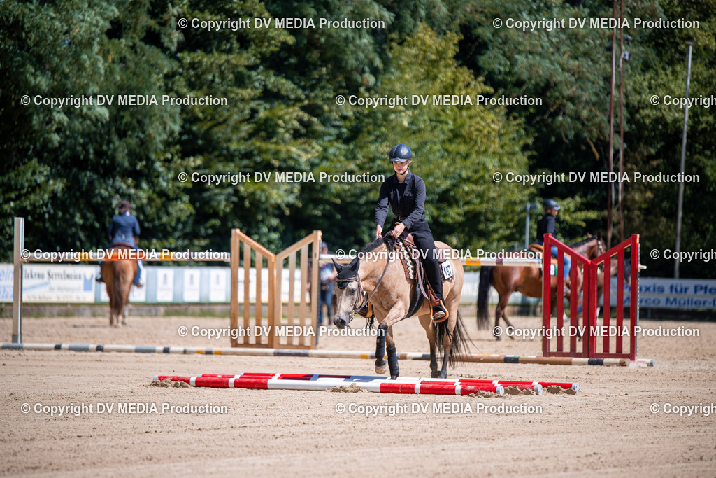 ZS1_1055 | dv-media-shop - Realisiert mit Pictrs.com