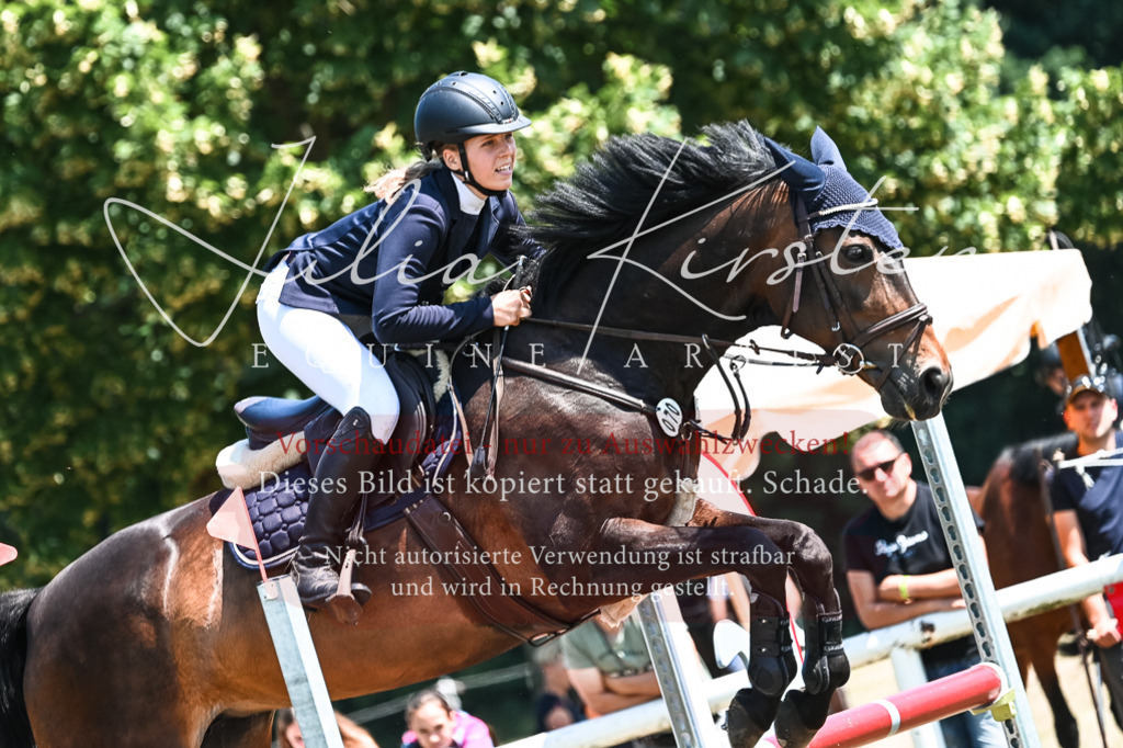 DSC_0109 | Pferde- und Turnierfotografie in Westsachsen. Pferdeportraits, Auftragszeichnungen und intuitive Kunst.