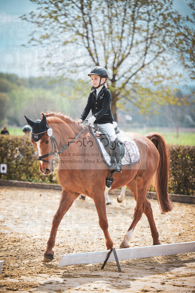 DOS_6127 | Entdecke hochwertige Reitturnierfotos von Foto Oger. Professionell, emotional und authentisch – jetzt Lieblingsmomente im Shop bestellen.Deutschlandweite Turnierfotografie. - Realisiert mit Pictrs.com