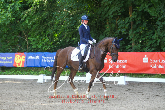 DKP42218 | Turniersportfotografie; Pferdefotografie; Dressurfotografie