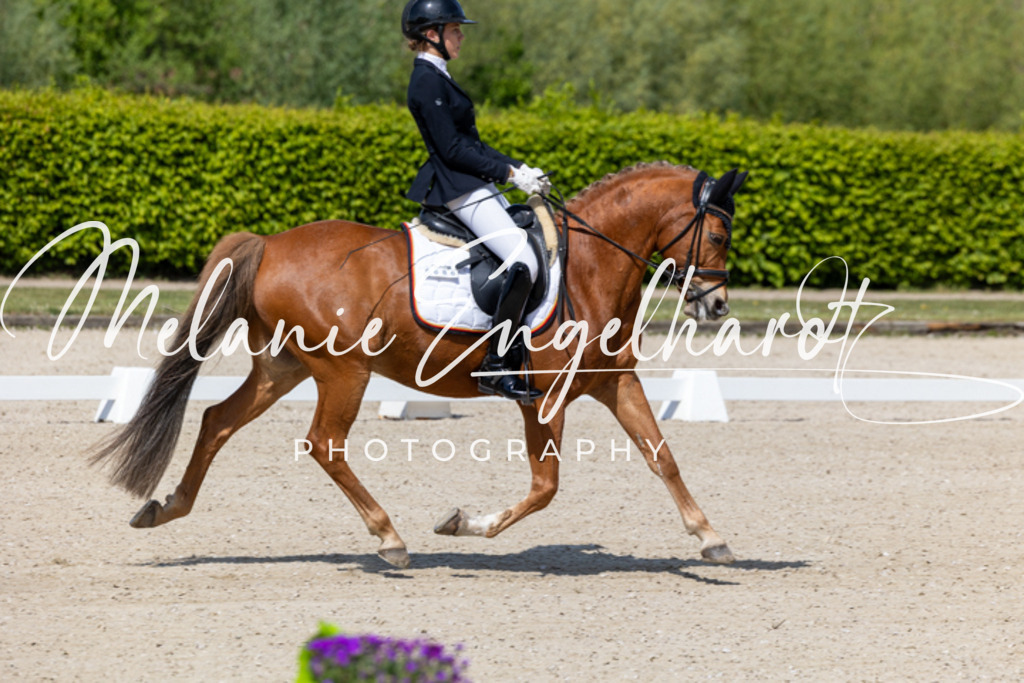 7I8A9535 | melanie-engelhardt-photography - Realisiert mit Pictrs.com