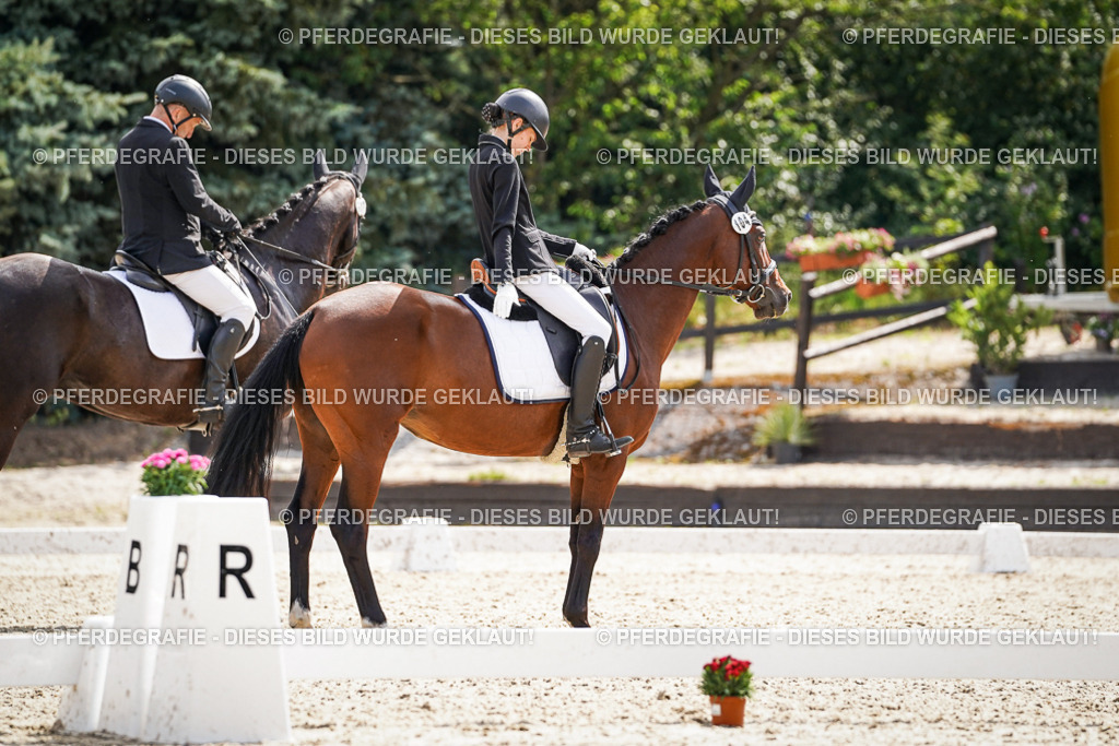 DSC08743 | Pferdegrafie