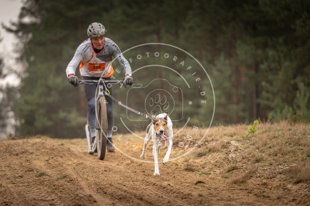 Pfotenfotografie_DV3A4491 | Hundefotografie, Tierfotograf, Pfotenfotografie, Fotoshooting Hund, Hunde Portrait, Hundesport, Hundeportraits, Heideshooting, Hunde, Sportfotograf, Hundefotograf, Turnierhundsport, THS,  - Realisiert mit Pictrs.com