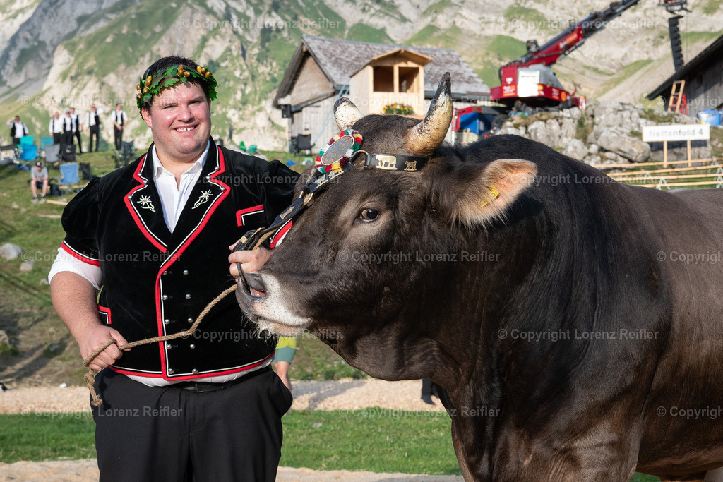 Schwingen -  Schwägalpschwinget 2023 | Schwägalp, 20.8.23, Schwingen - Schwägalpschwinget.