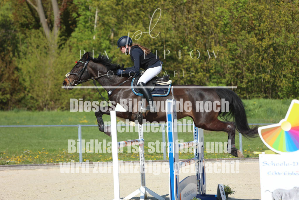 IMGM2431 | pl-fotografie