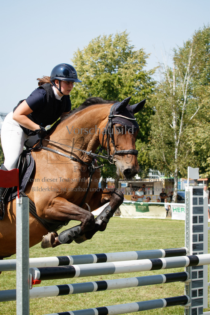 IMG_3515 | P. Berger Fotografie - Realisiert mit Pictrs.com