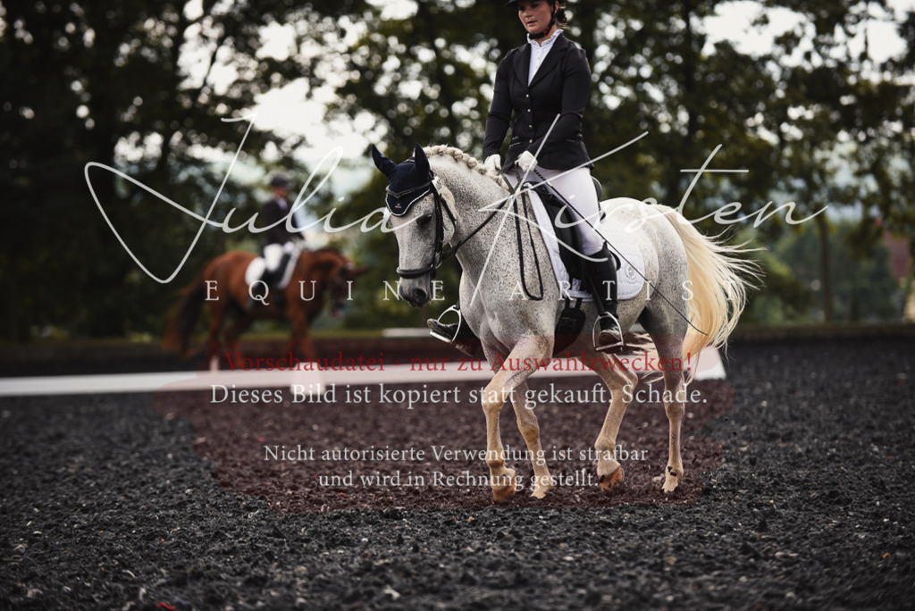 DSC_3968 | Pferde- und Turnierfotografie in Westsachsen. Pferdeportraits, Auftragszeichnungen und intuitive Kunst.