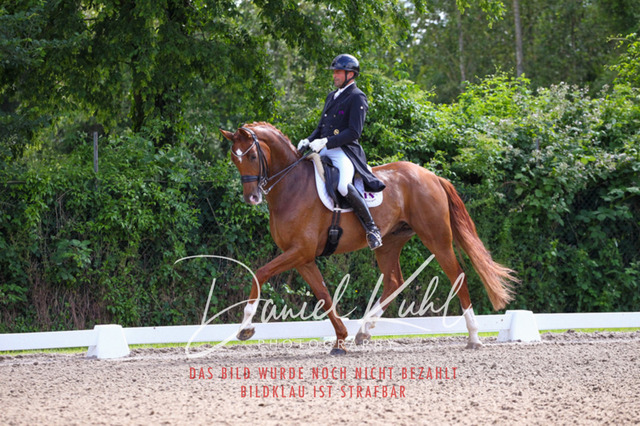 DKP41319 | Turnierfotos kaufen im Webshop von Daniel Kuhl Photography – entdecke professionelle Reitsportfotos aus Turnieren & Events. Hochwertige Turnierbilder online bestellen & sichern. Jetzt Fotos von Reitsportturnieren kaufen!
