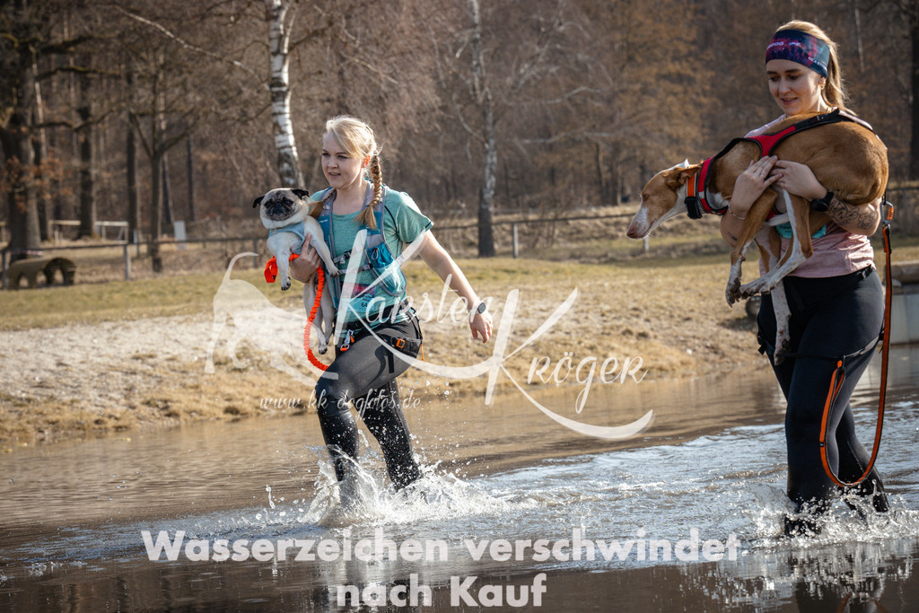1106_ZZ92271 | kk-dogfotos