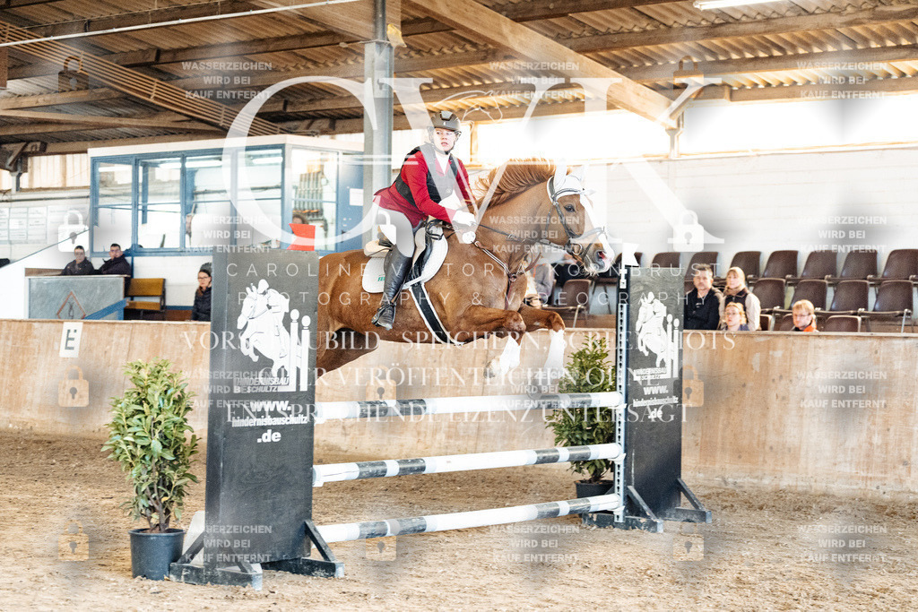 CK904970 | Turnierfotografie Pferdefotografie Trier Rheinland-Pfalz Pferdesport Reitsport Tierfotografie Sportfotografie Pferdevideo Pferdevideografie Equestrianvideography equestrianphotography  - Realized with Pictrs.com