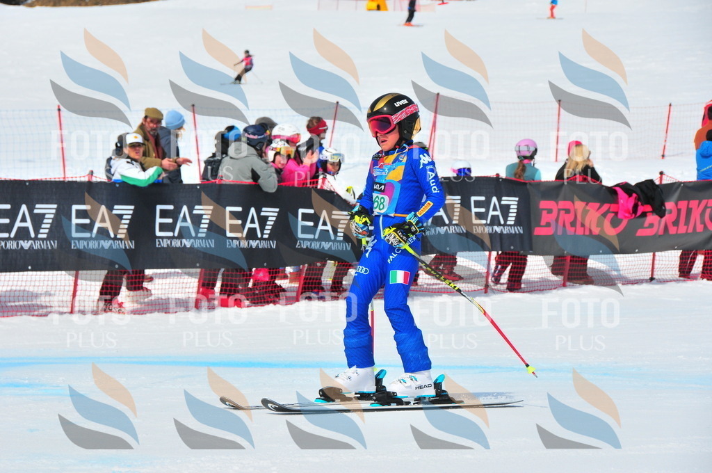 DSC_1519 | holidayphoto