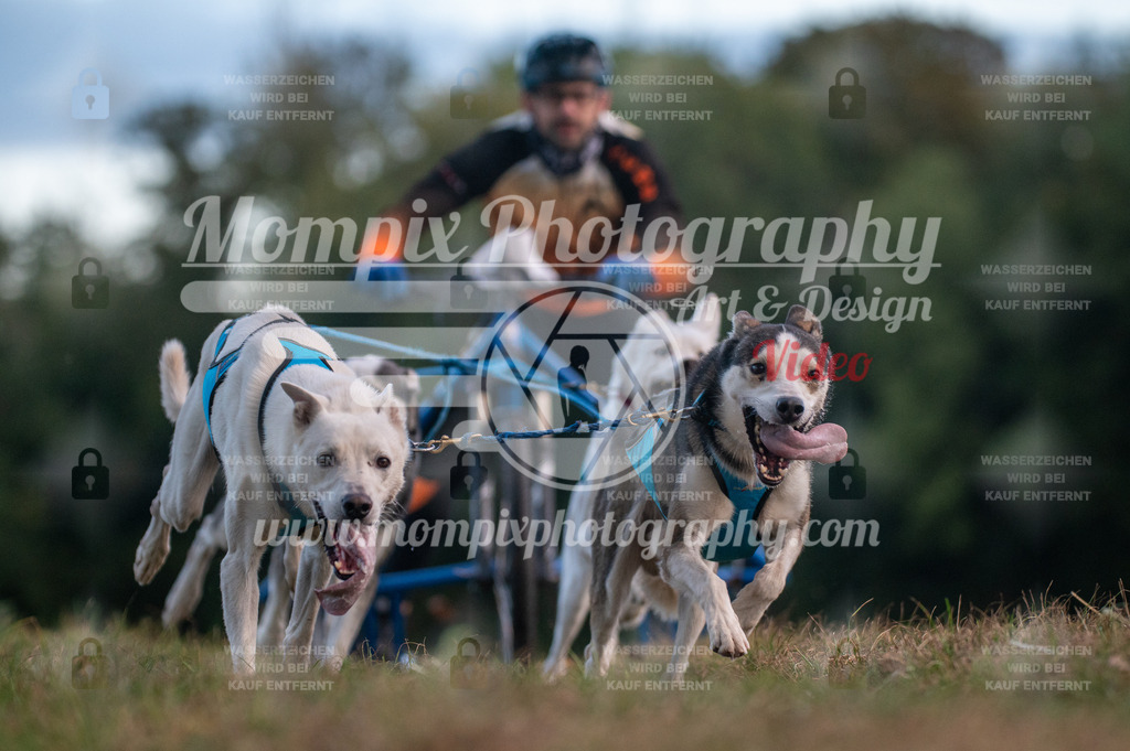 CDLBDB_15_10_2023_Dimanche-2 | PayLife