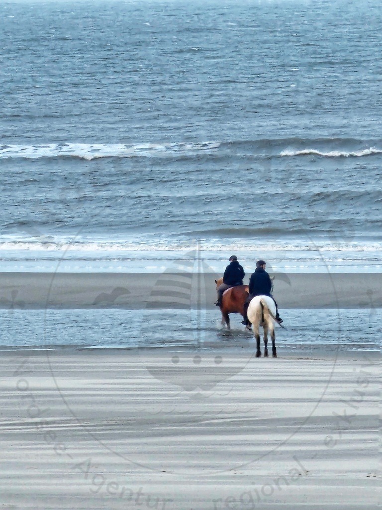 Nordsee Momente pur Nordseeküste Naturaufnahmen  | Nordsee in all ihrer Natürlichkeit  - Realisiert mit Pictrs.com