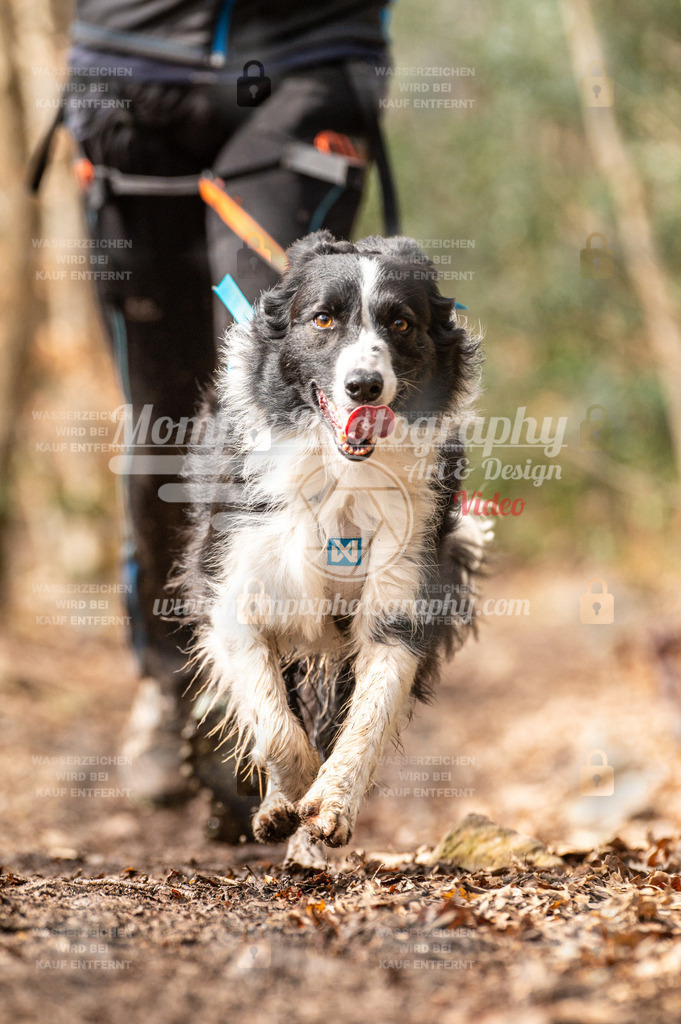 SPA_2023_DIM_Fun-25 | PayLife