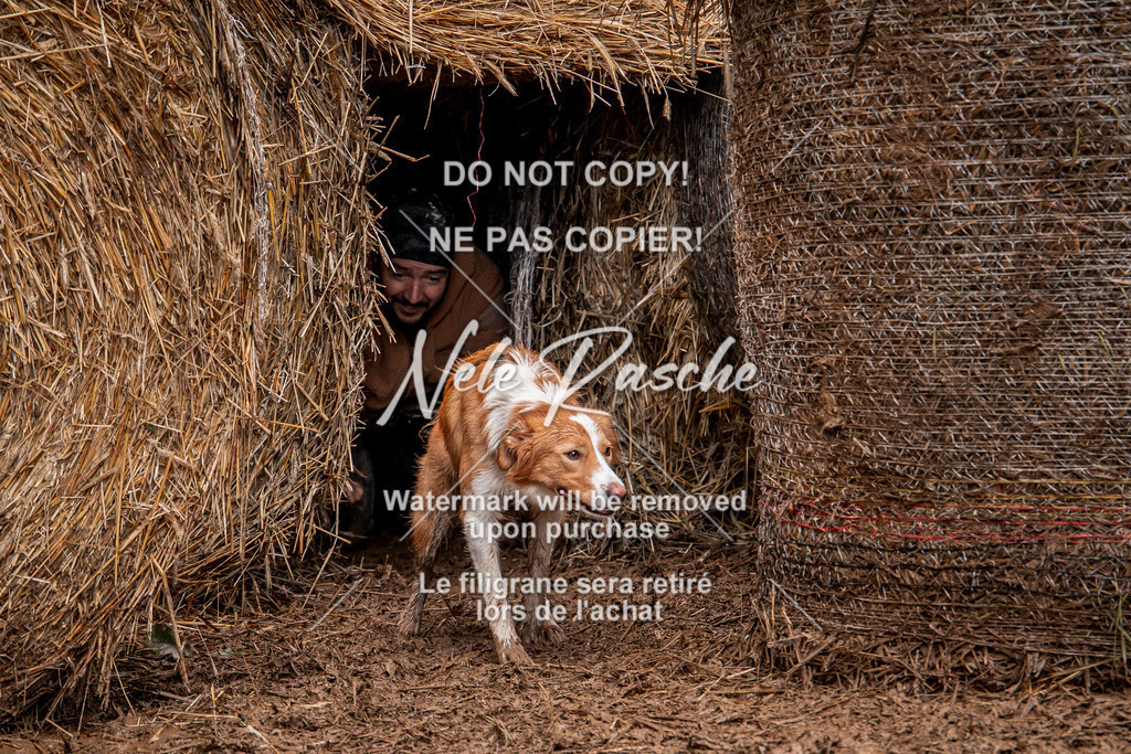 nelerasche_Hunsrück_So09-11_178 | nelerasche