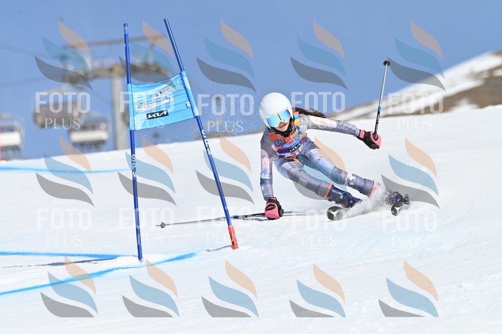 BGV_8154 | holidayphoto