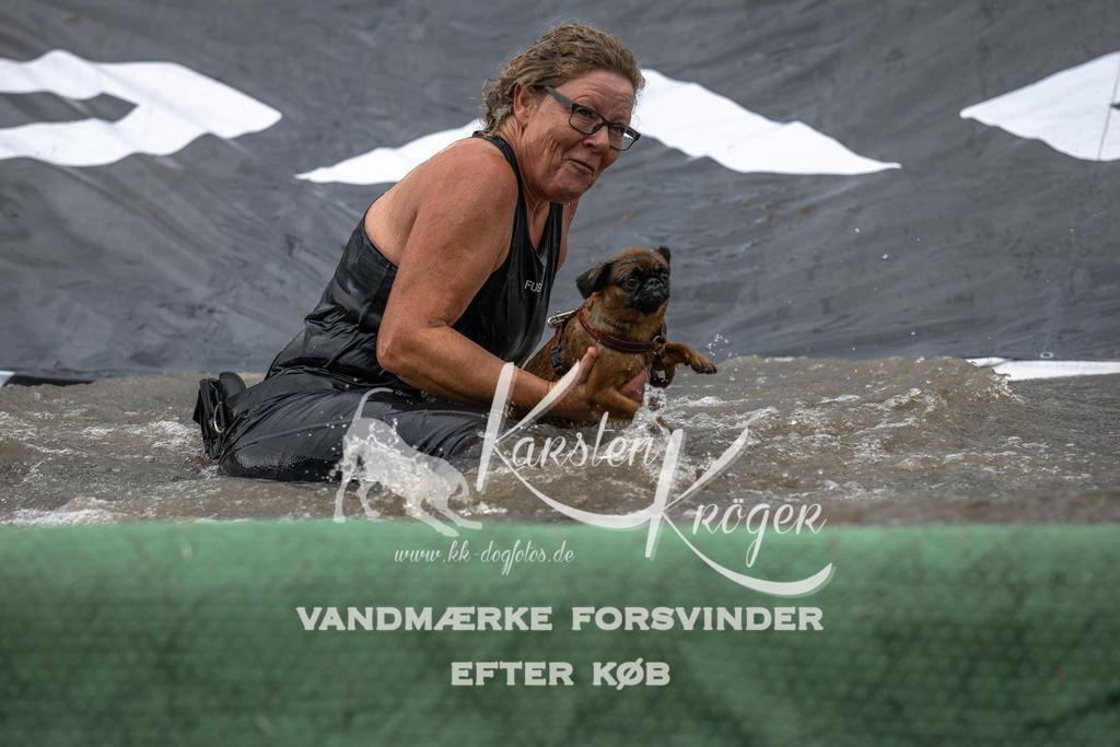 1343_ZZ93066 | kk-dogfotos