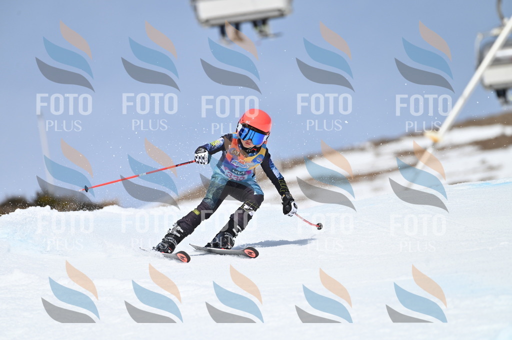 BGV_3335 | holidayphoto