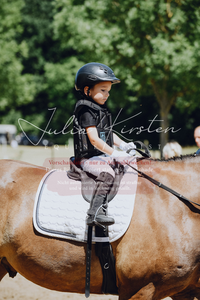 DSC_2390 | Pferde- und Turnierfotografie in Westsachsen. Pferdeportraits, Auftragszeichnungen und intuitive Kunst.