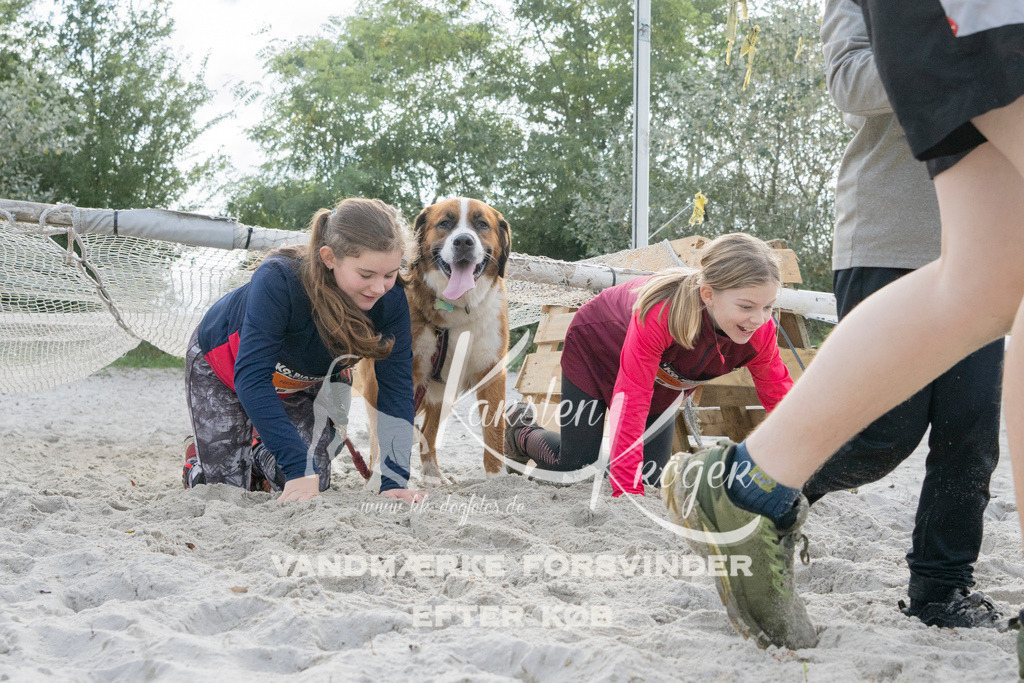 1334_ZZ97787 | kk-dogfotos