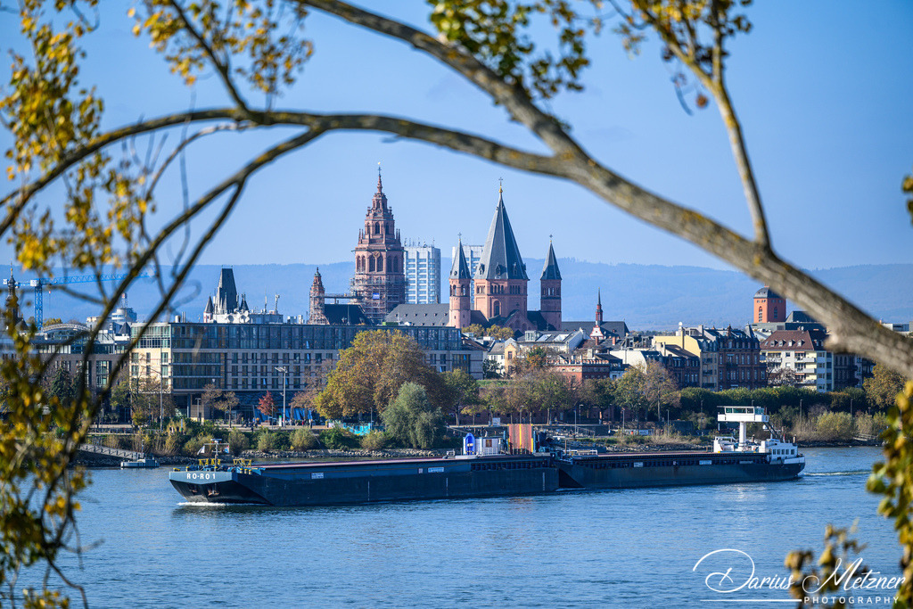 Der Mainzer Dom | Der Mainzer Dom