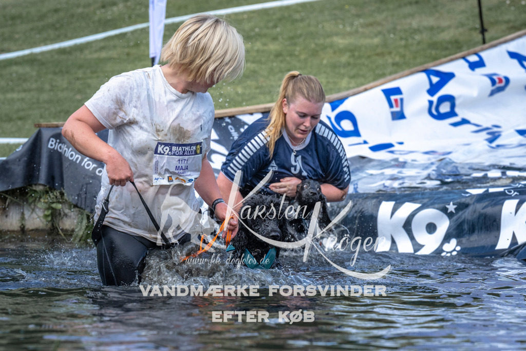 1101_ZZ90234 | kk-dogfotos