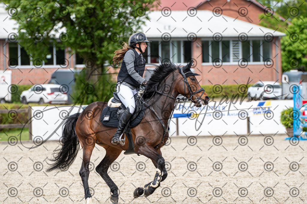 KPT_5498 | andre_photographic