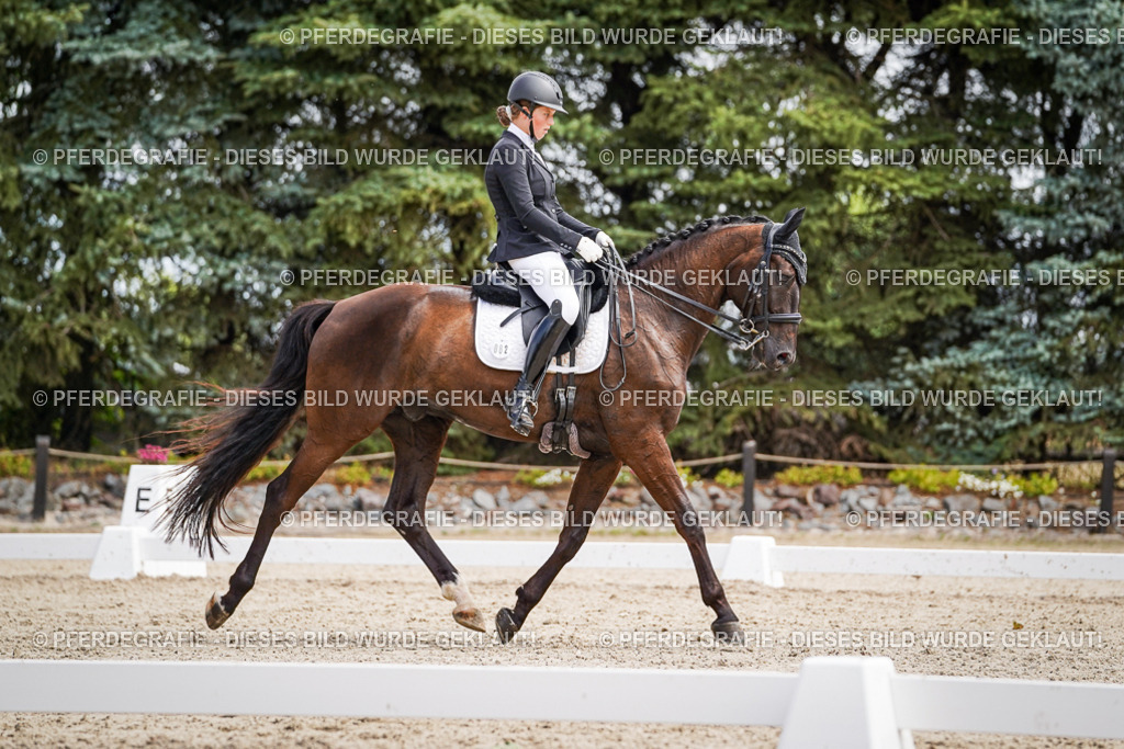 DSC03455 | Pferdegrafie