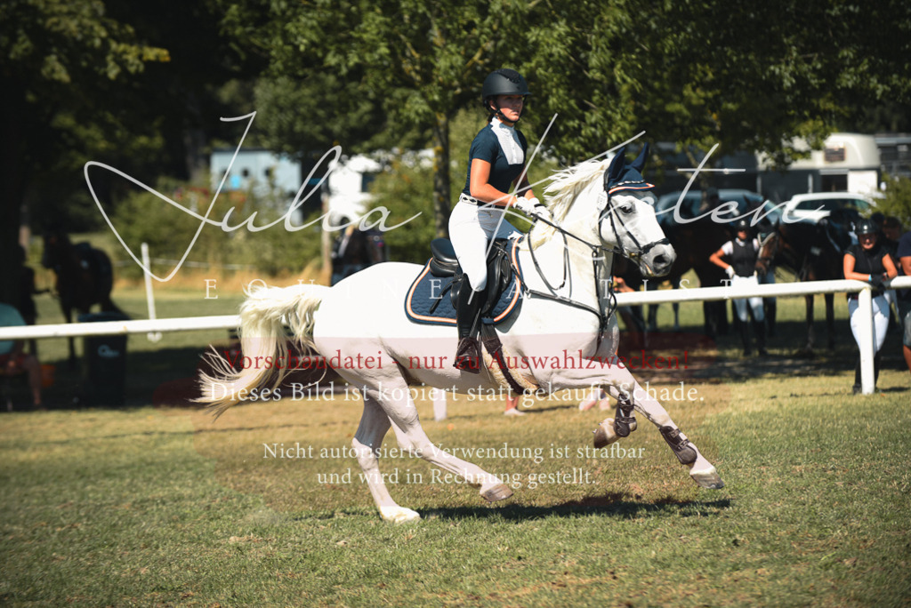 DSC_7265 | Pferde- und Turnierfotografie in Westsachsen. Pferdeportraits, Auftragszeichnungen und intuitive Kunst.